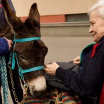 ASSOCIAZIONE DON ORIONE