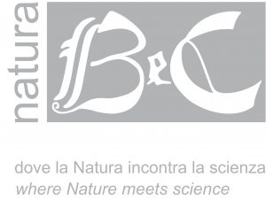 bec-natura-Italy-festival-italian-2017